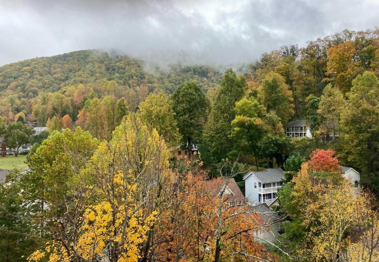 Newly-renovated With Mtn Views - Walk To Dtwn! *