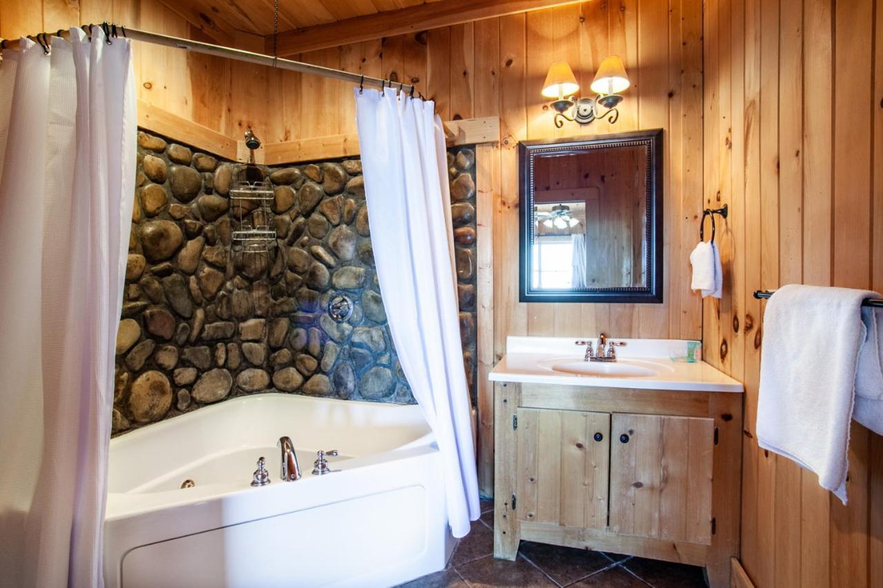 Little Cub Retreat Mtn View, Hot Tub, Indoor Pool Gatlinburg