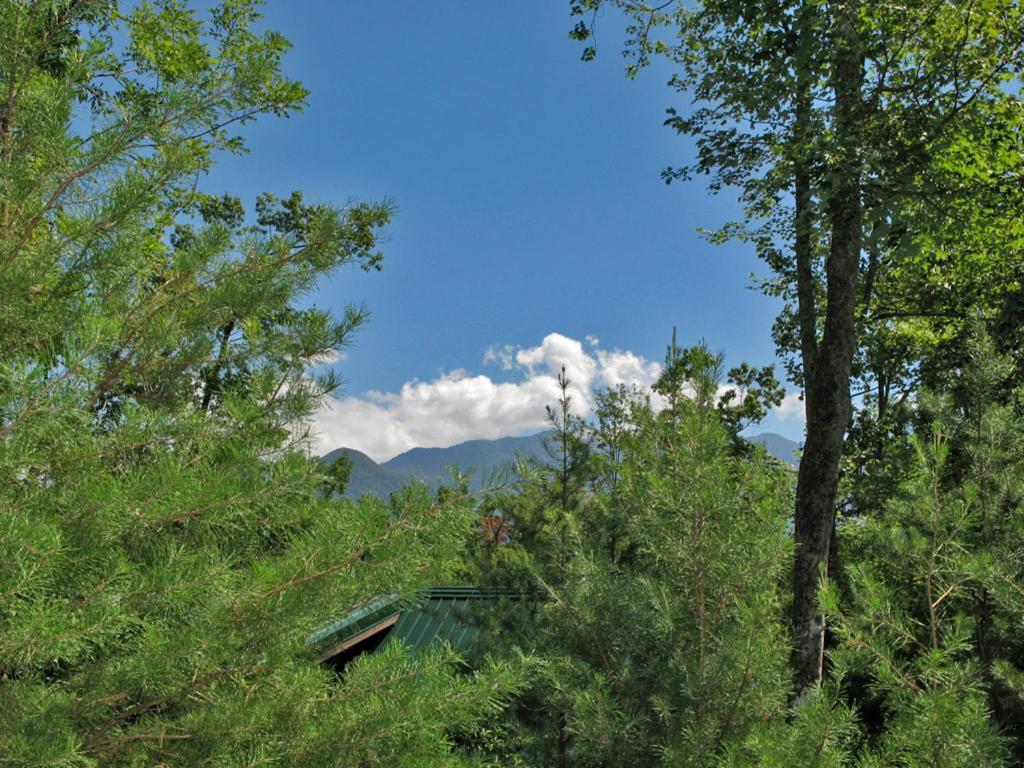 Big Sky Cabin, 2 Bedrooms, Sleeps 8, Hot Tub, Pool Access, Pool Table *