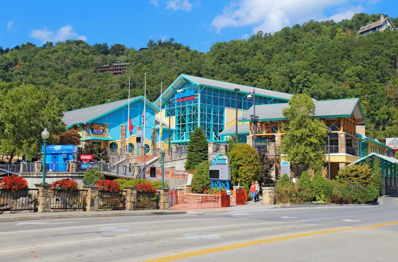 Main Level Ski Mountain Resort, 10 Min To Downtown Gatlinburg, Pool, King Bed, Private Balcony, Lowest Prices Of The Season Apartment Gatlinburg