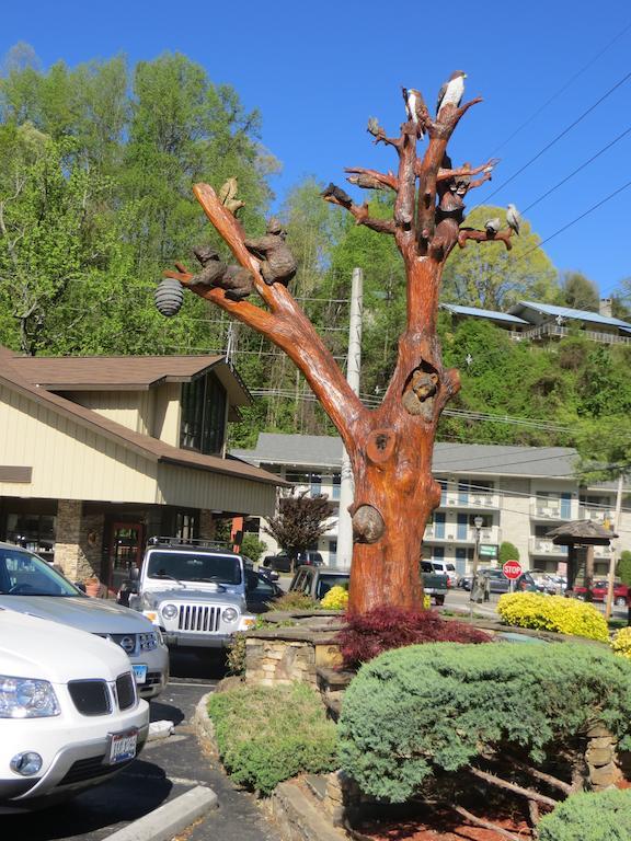 Motel Mountain House Downtown