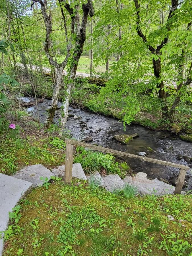 Campsite Bring Your Rv To The Best Spot In The Smoky Mountains *
