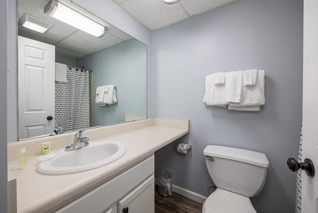 Bearfoot Condo, Free Parking, & Only A 12 Mile From Ripley's Aquarium Holiday home