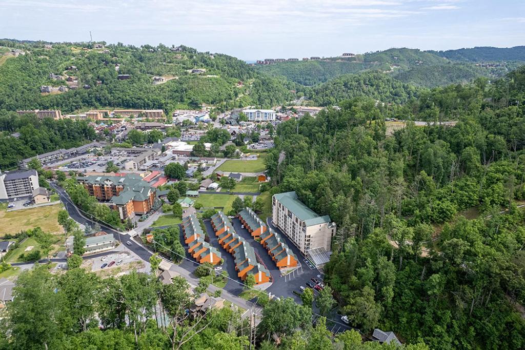 Bearfoot Condo, Free Parking, & Only A 12 Mile From Ripley's Aquarium Holiday home