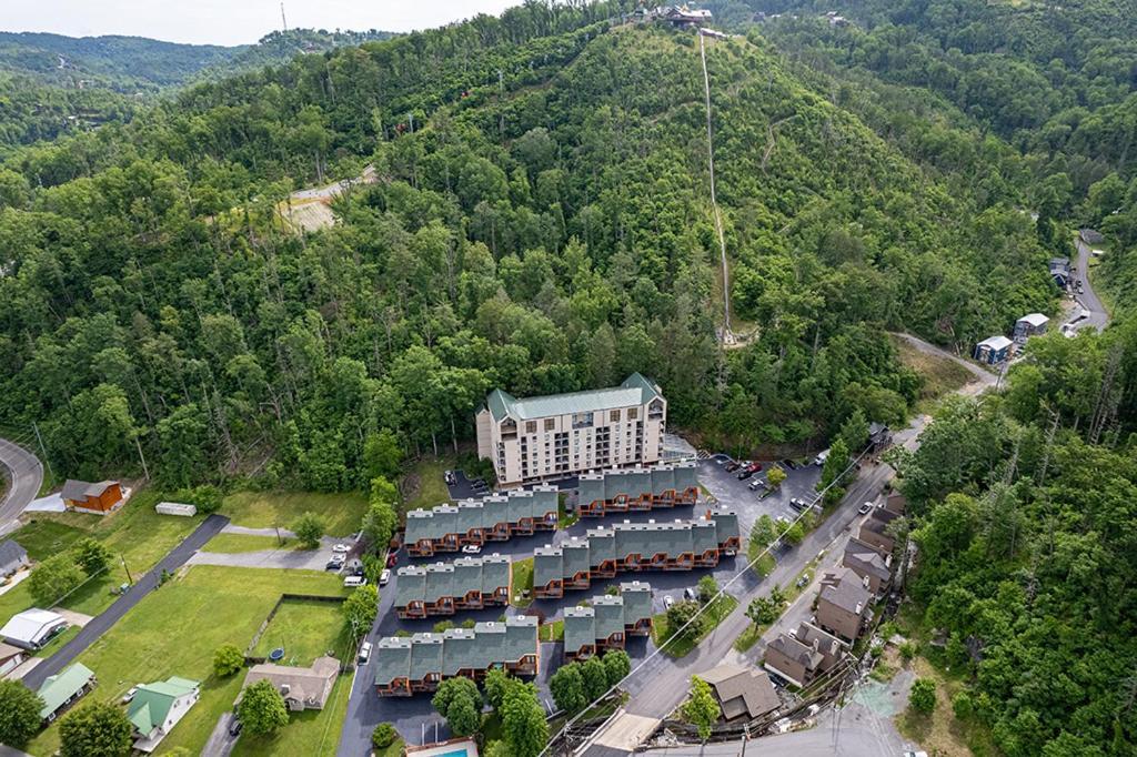 Bearfoot Condo, Free Parking, & Only A 12 Mile From Ripley's Aquarium