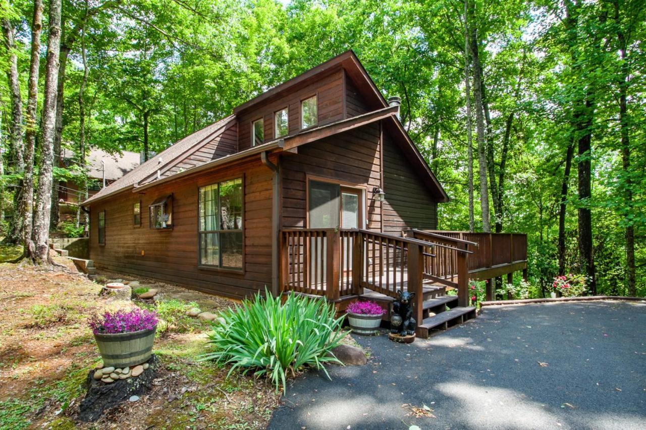 Little Cub - Mtn Views & Community Pools Holiday home Gatlinburg