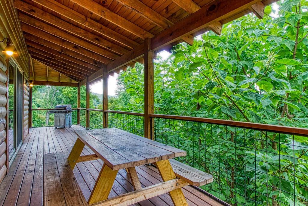 Appalachian Lookout-hot Tub, 1089 Of Free Attraction Tickets For Each Paid Day, Dollywood And More!