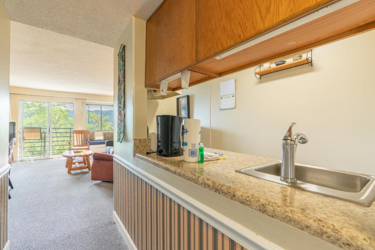 Summit 1206 Winter Special Apartment Gatlinburg