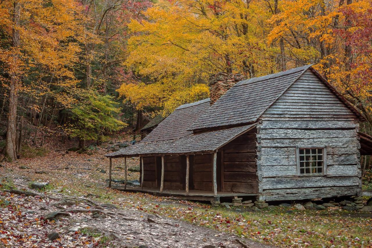 Fireflies And Moonshine Chalet Gatlinburg
