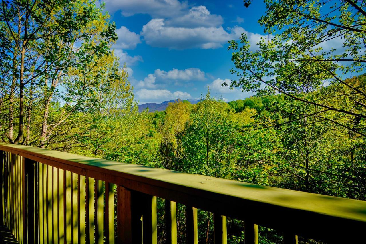 Mountain View Paradise Holiday home