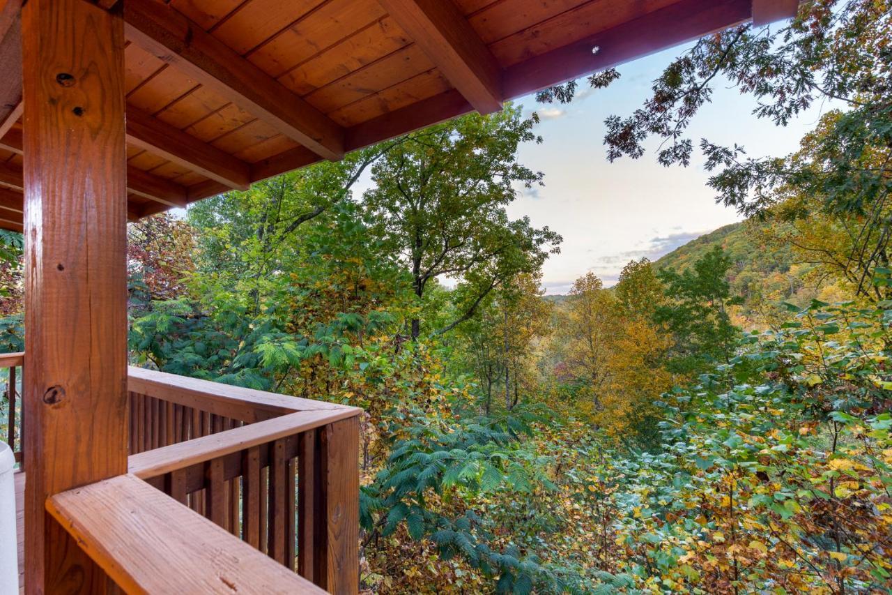Cozy Bear * Gatlinburg