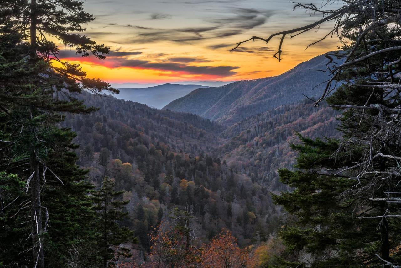 Villa Smoky Bear Bnb! Theater, Game Room, Hot Tub, Bar, 5br 5ba *