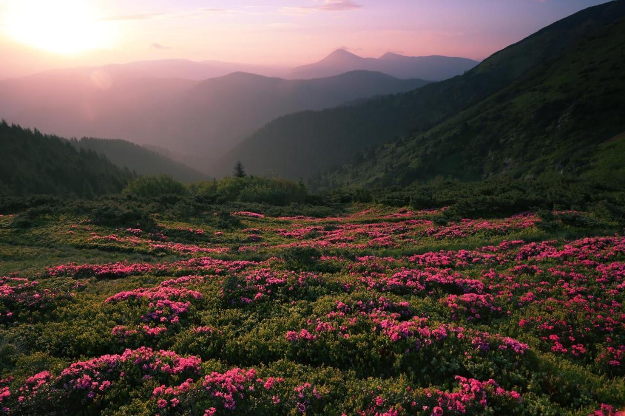 Kear's Mountain Magic, 1 Bedroom, Hot Tub, Grill, Jetted Tub, Sleeps 2 Holiday home Gatlinburg