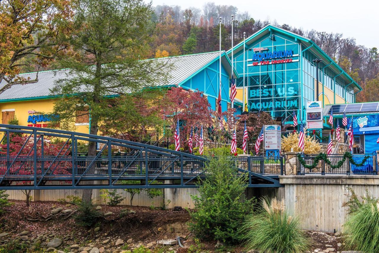 Park View 1, 2 Bedrooms, Mountain View, Hot Tub, Sleeps 4 Gatlinburg