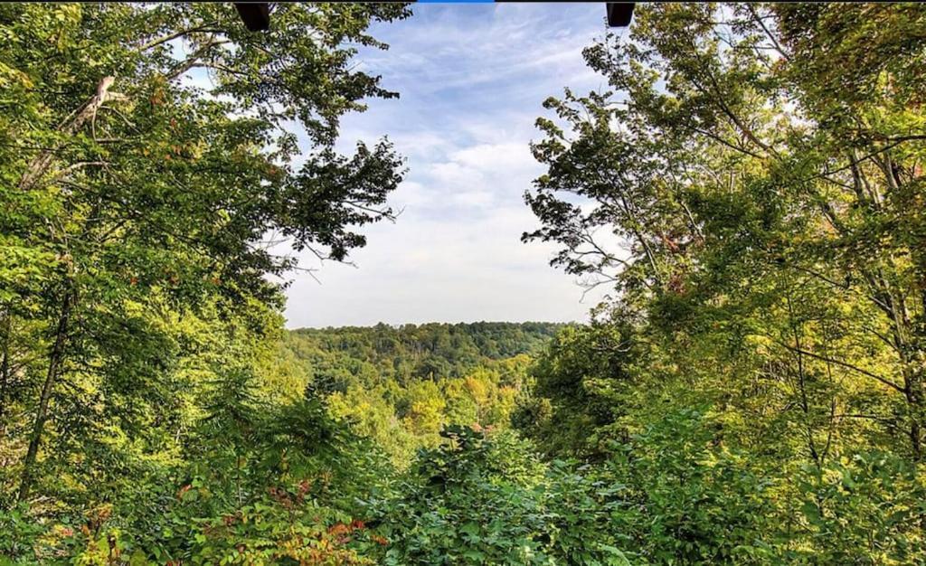 Cozy With Mountain Views And Easy Access To Attractions
