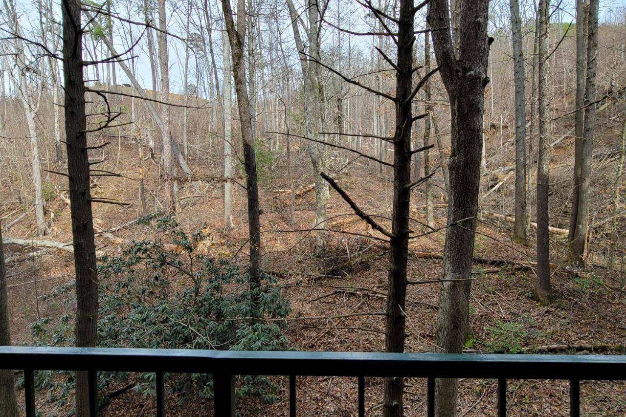 Bearfoot Apartment Gatlinburg