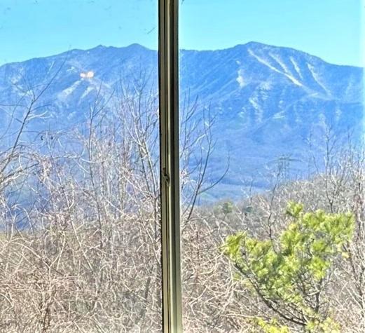 Our Place In The Smokies Apartment