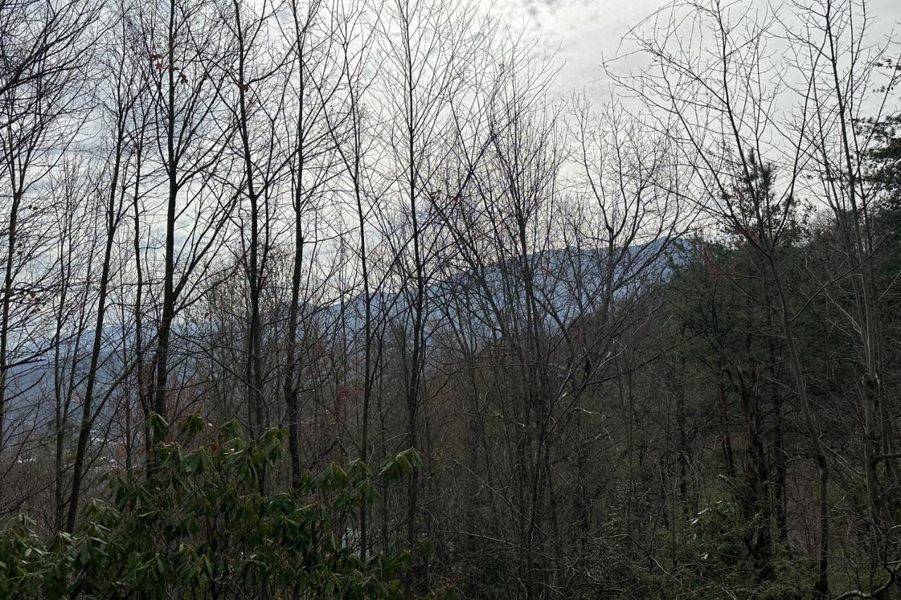 5 Bear Chalet * Gatlinburg