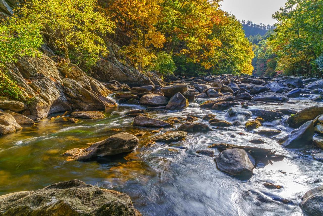 Deer Ridge Mountain C202 Gatlinburg