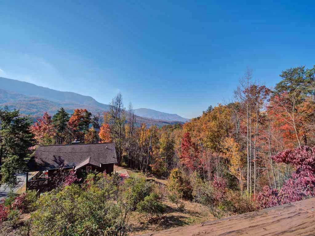 Alpine Windsong * Gatlinburg