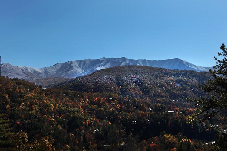 Bears Eye View * Gatlinburg