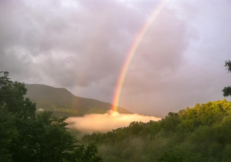 Holiday home Bearly Heaven Gatlinburg