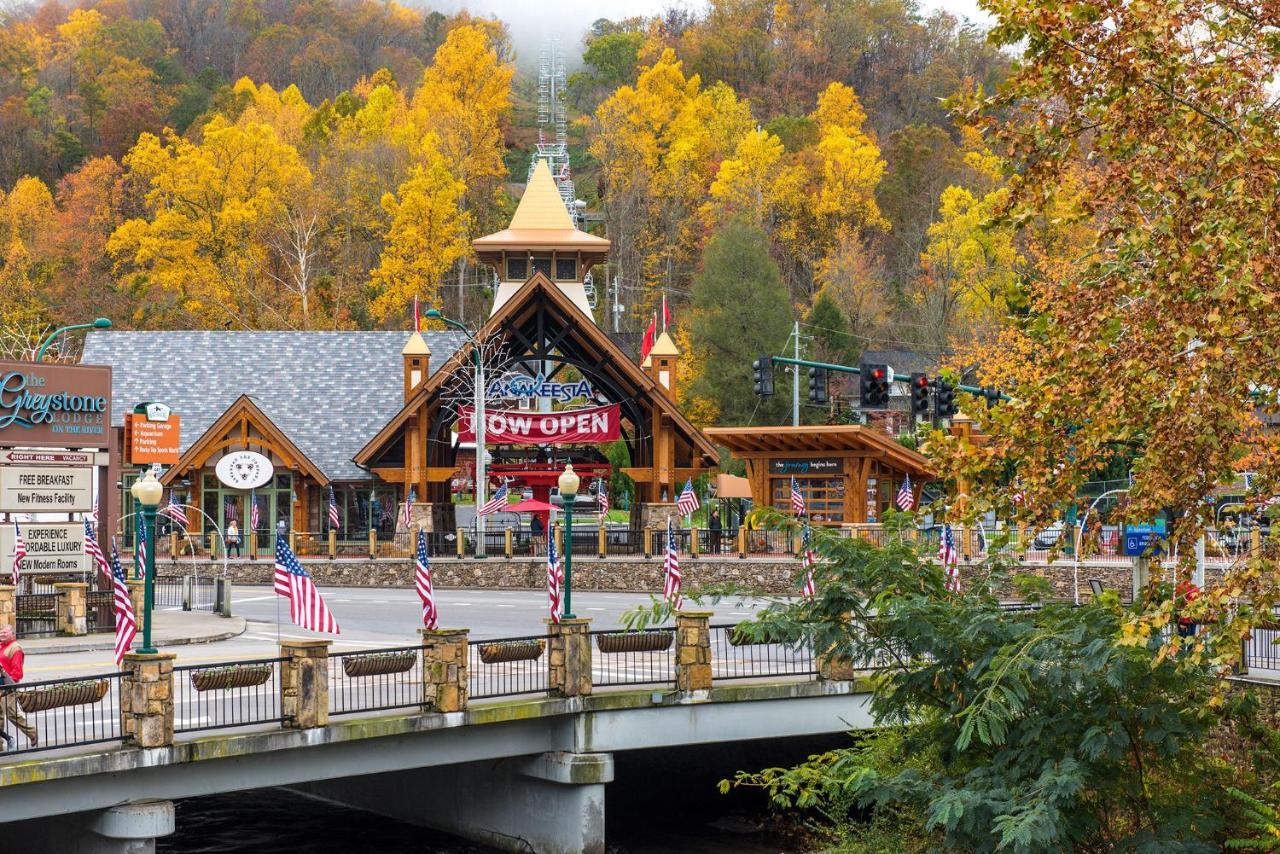 Swiss Bear Haus, 4 Bedrooms, Hot Tub, Pool Access, Sleeps 12 * Gatlinburg