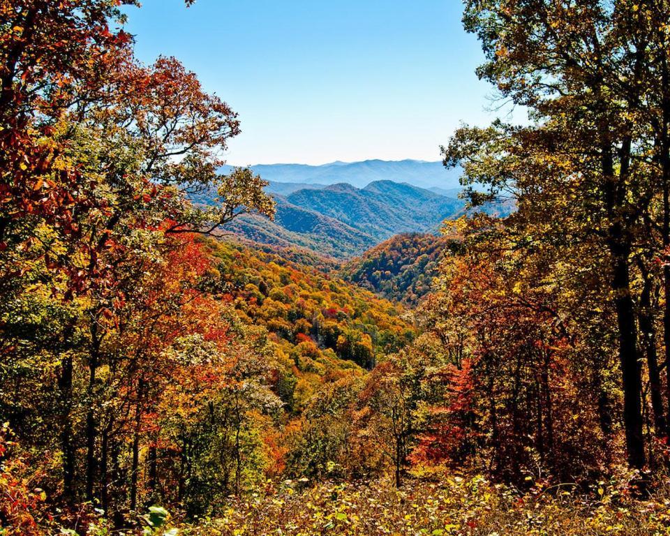 Mountain Hideaway *