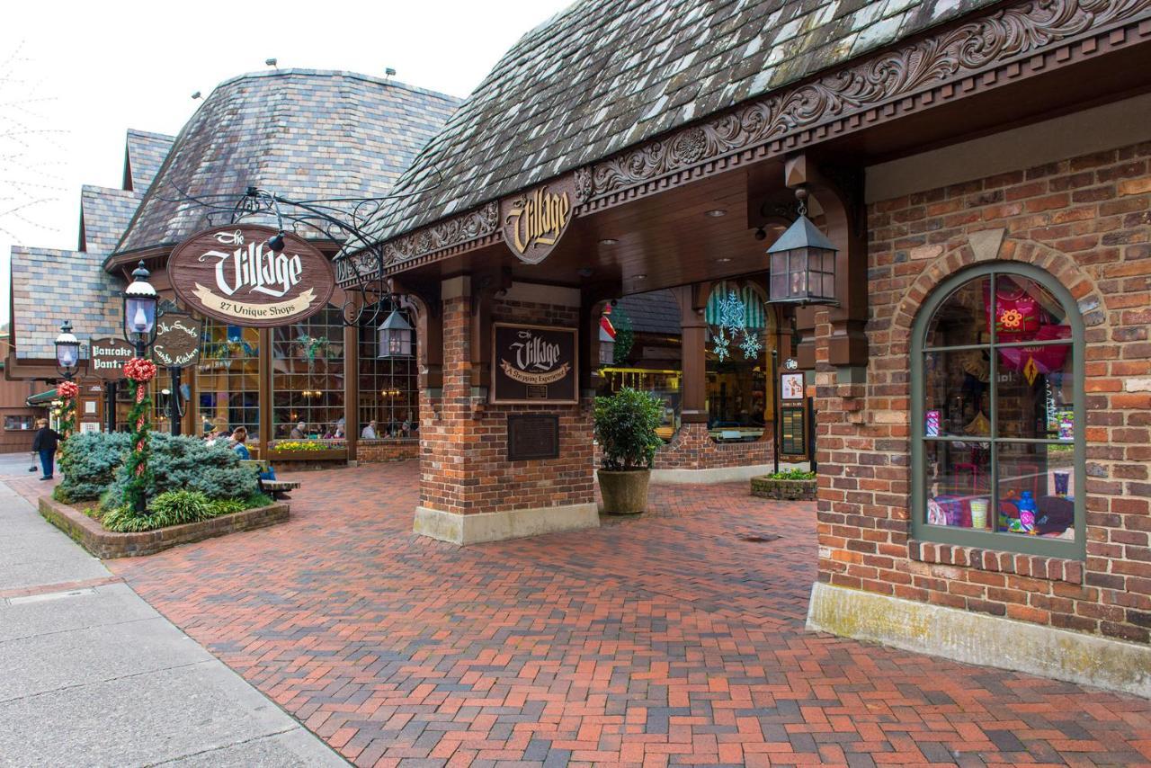 Puppies Hollow, 2 Bedrooms, Pets, Wifi, Pool Access, Fireplace, Sleeps 4 Gatlinburg