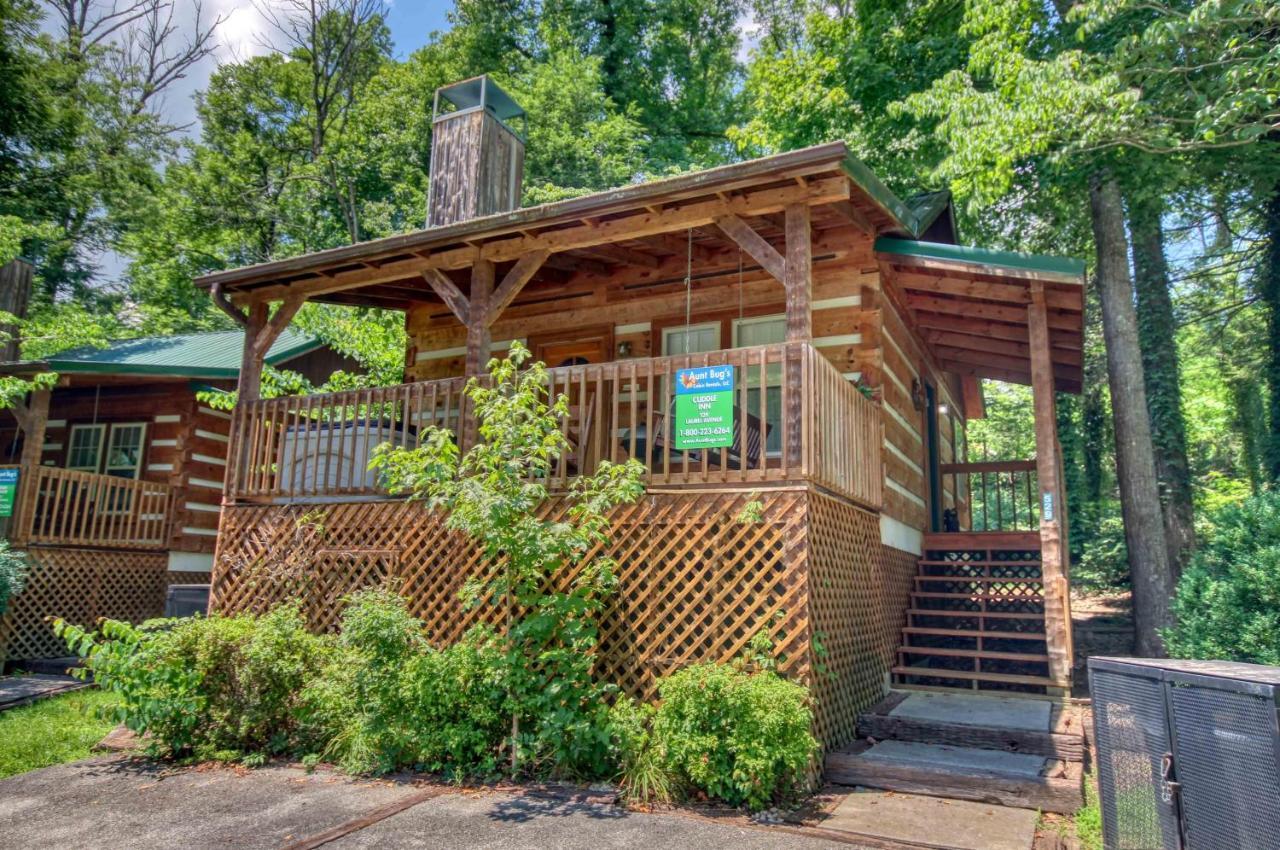 Cuddle #1529 Holiday home Gatlinburg