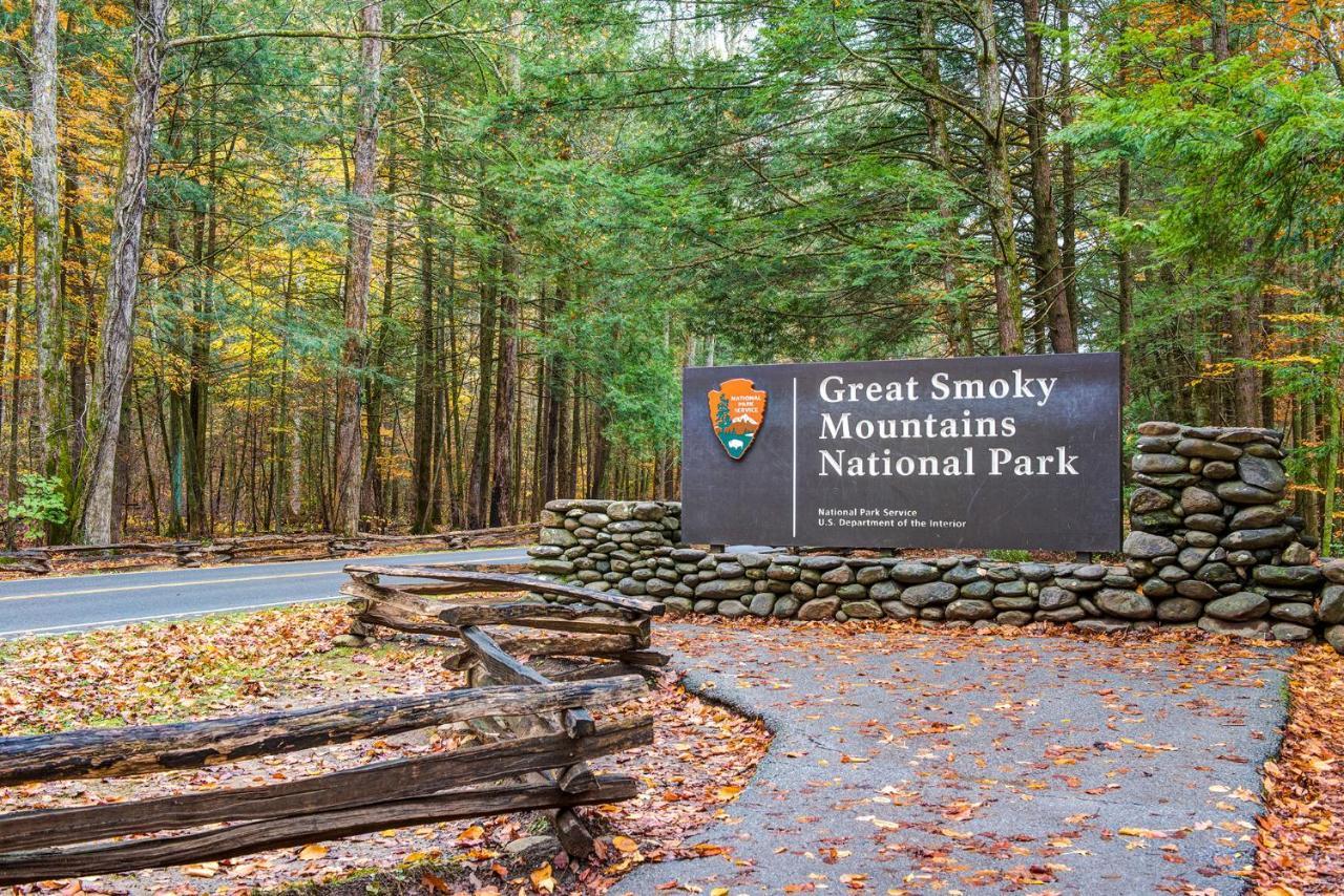 Apartment Deer Ridge Mountain C202