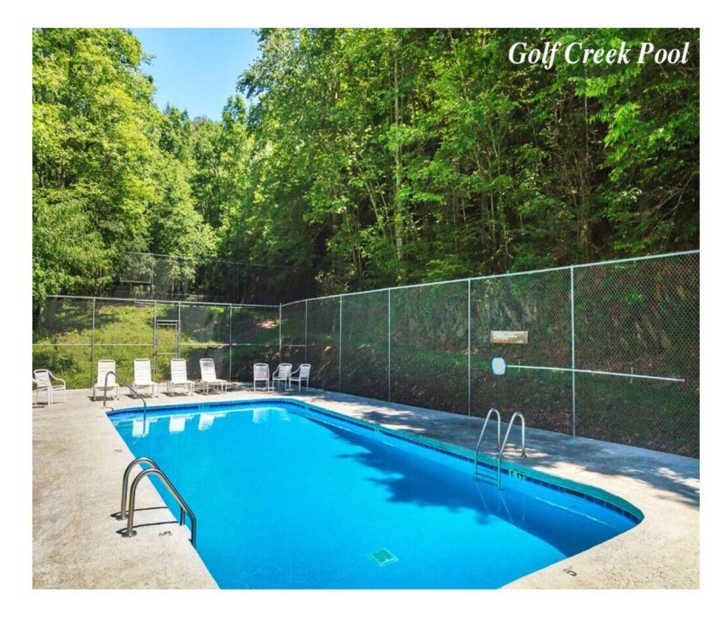 Want To Feel Like You're Up In The Trees!! What A Great View! Chalet Gatlinburg