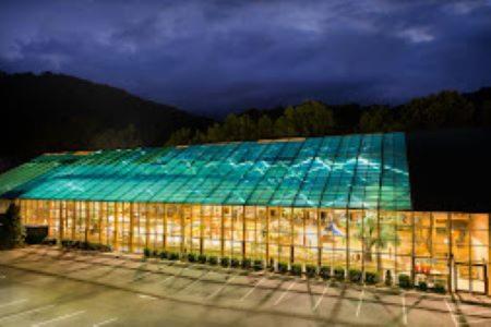 Westgate Smoky Mountain & Water Park Tn Apartment