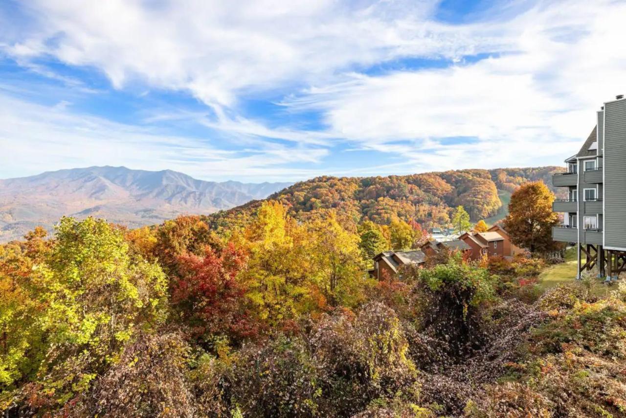 Of The Smokies