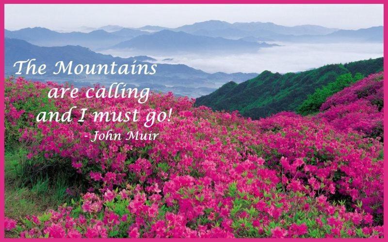 270 Black Bear Retreat Gatlinburg