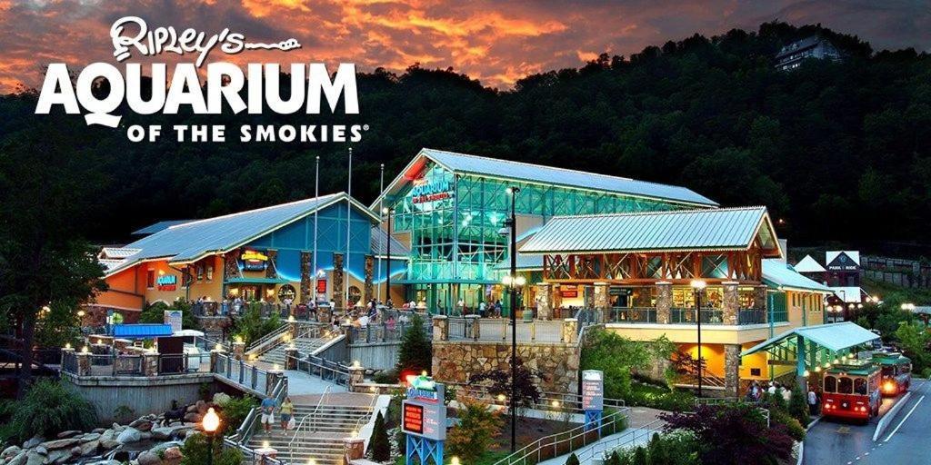 210 Cubs In The Treetops - Luxurious In * Gatlinburg