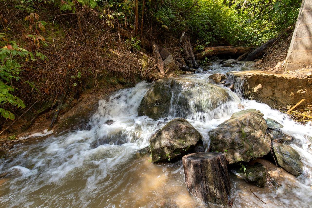 Falling Brook Gatlinburg