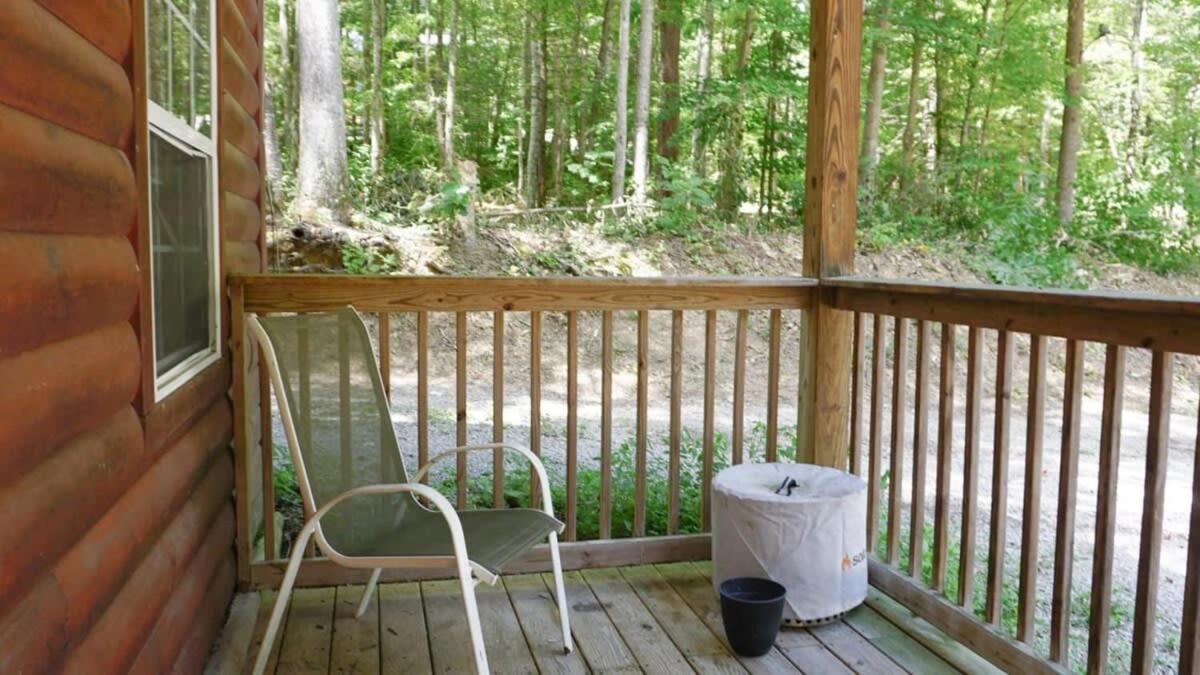 Apartment The Cave At Shady Woods - 1 Bedroom Studio - Walk To Downtown! Gatlinburg
