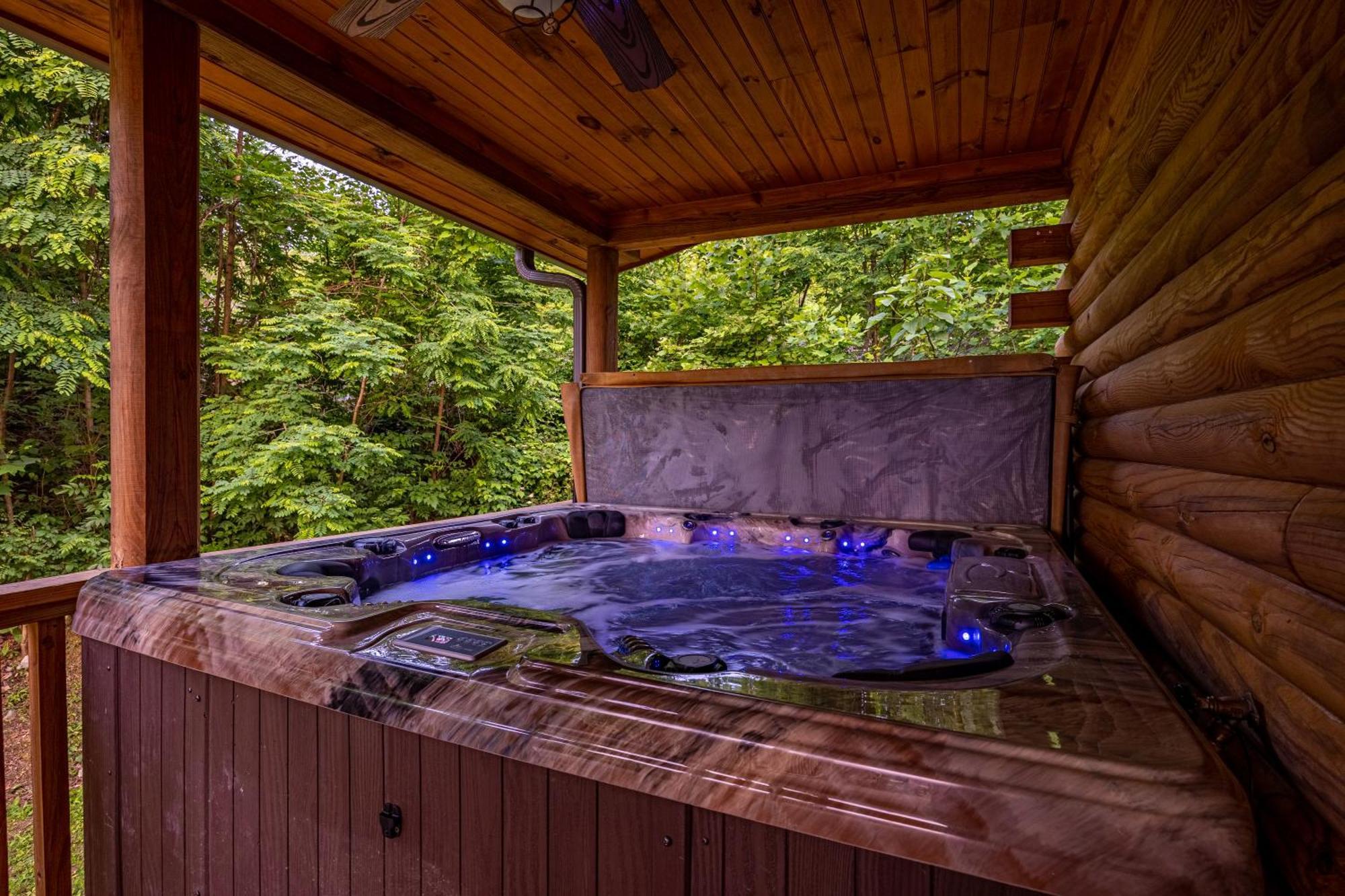 Bear Mountain * Gatlinburg