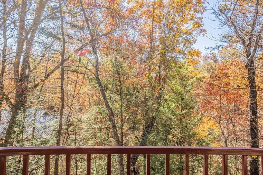 Sasquatch E Sleeps 13 Holiday home Gatlinburg