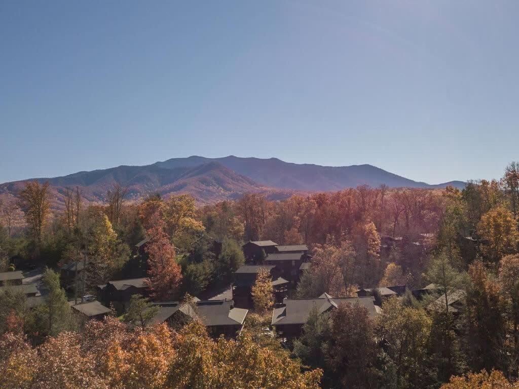 Sasquatch E Sleeps 13 * Gatlinburg