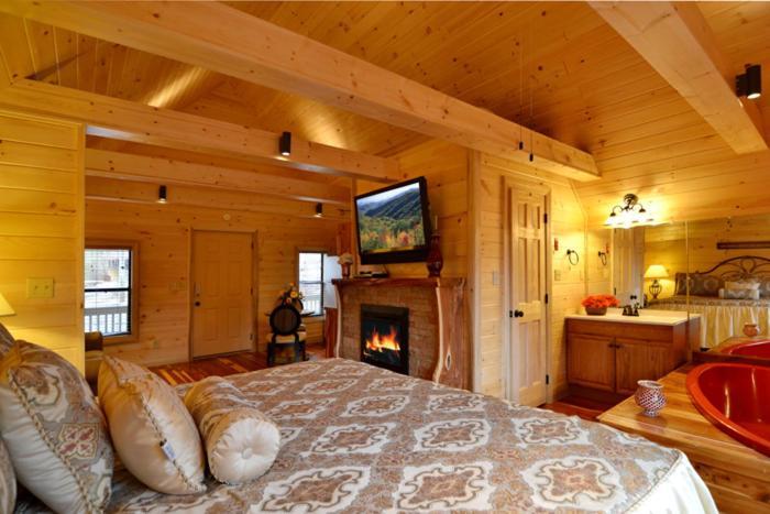 Mountain Nest