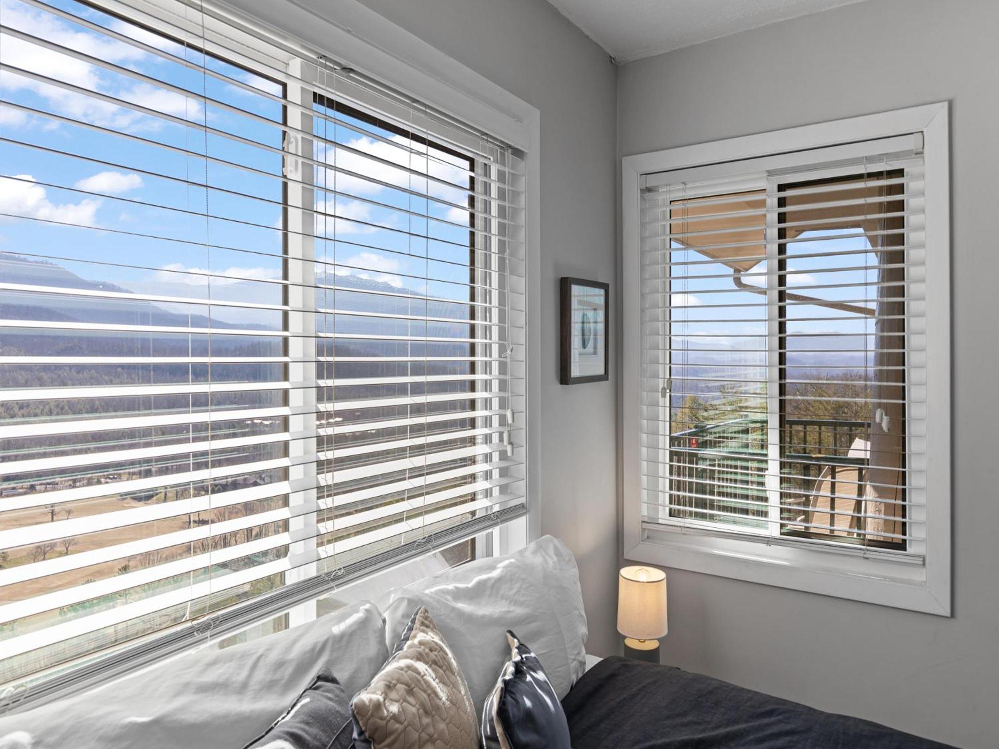 Smoky Sunrise Getaway - Deer Ridge Mountain C305 Apartment *