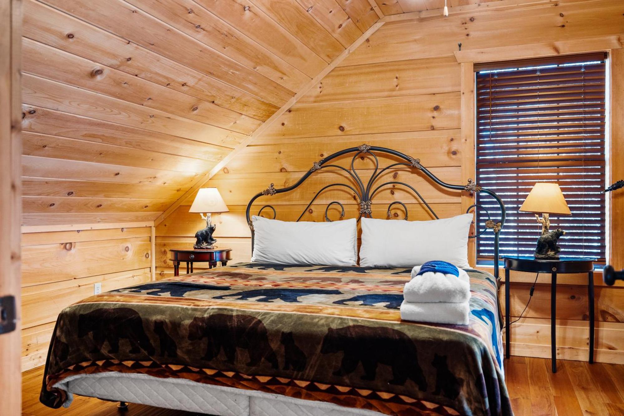 Cubby Bear, Hot Tub, Pool, 1089 Free Attraction Tickets Each Paid Day, Dollywood And More!