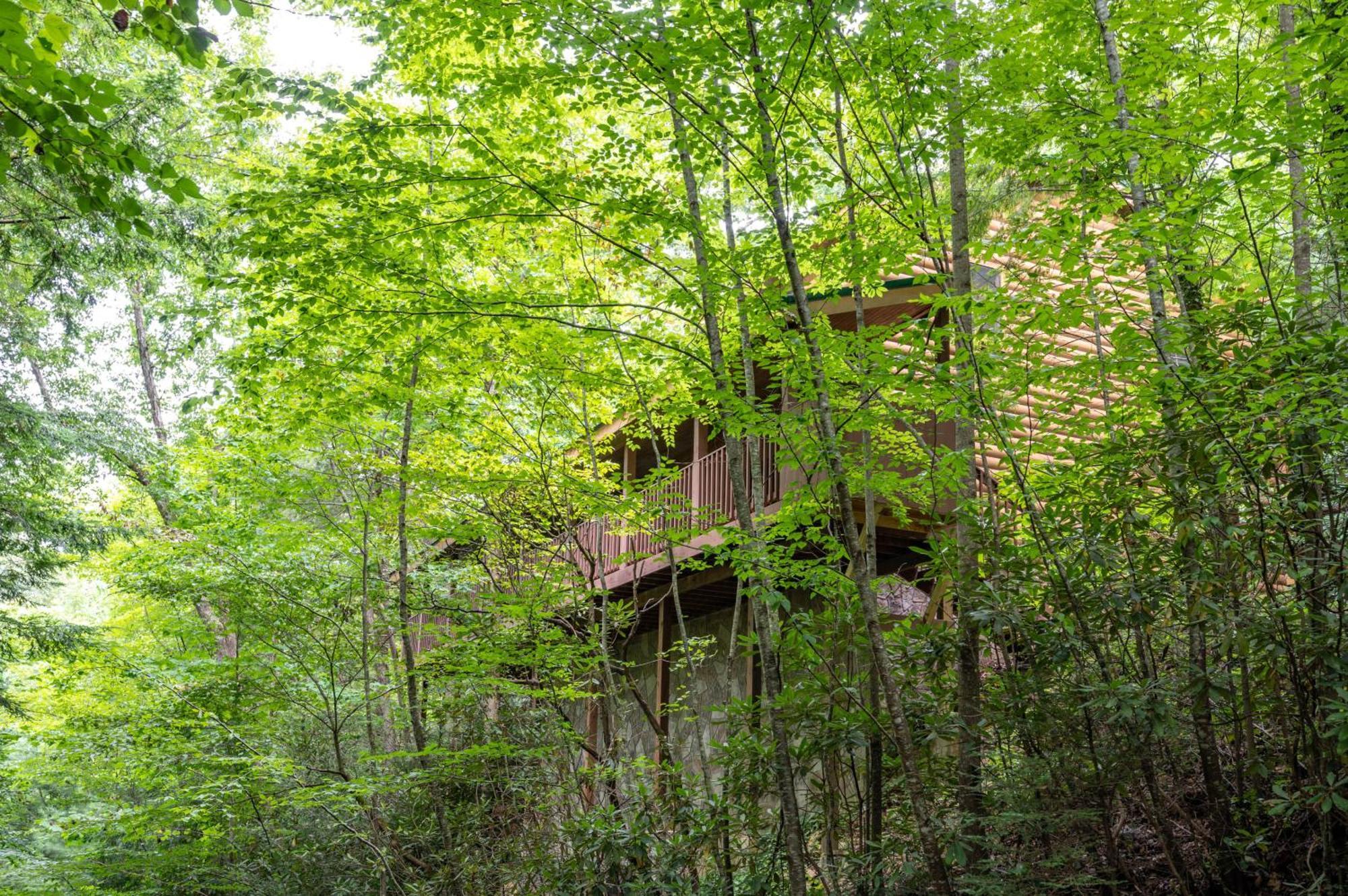 Mountain Haven Holiday home