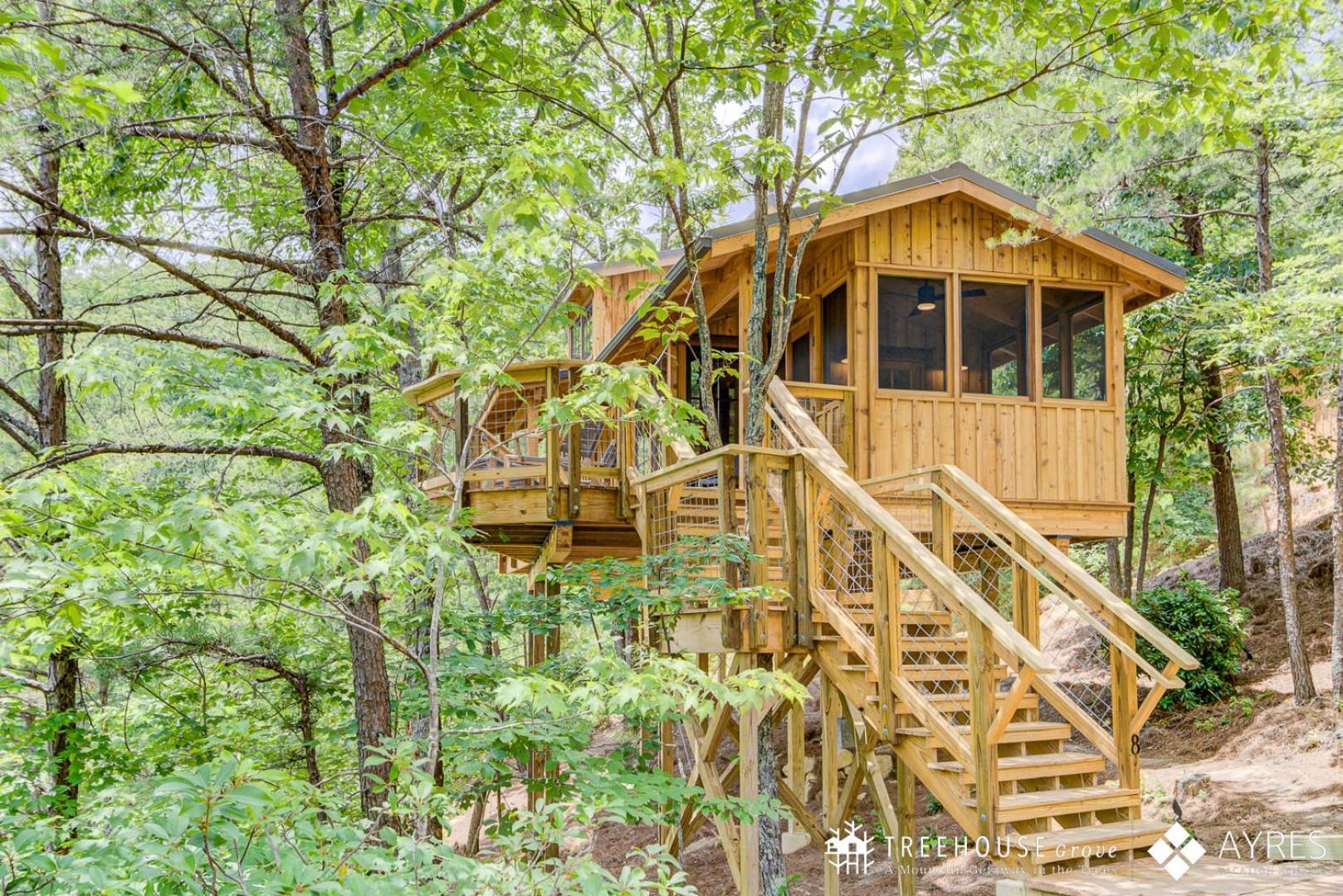 The Cottonwood In Treehouse Grove At Norton Creek