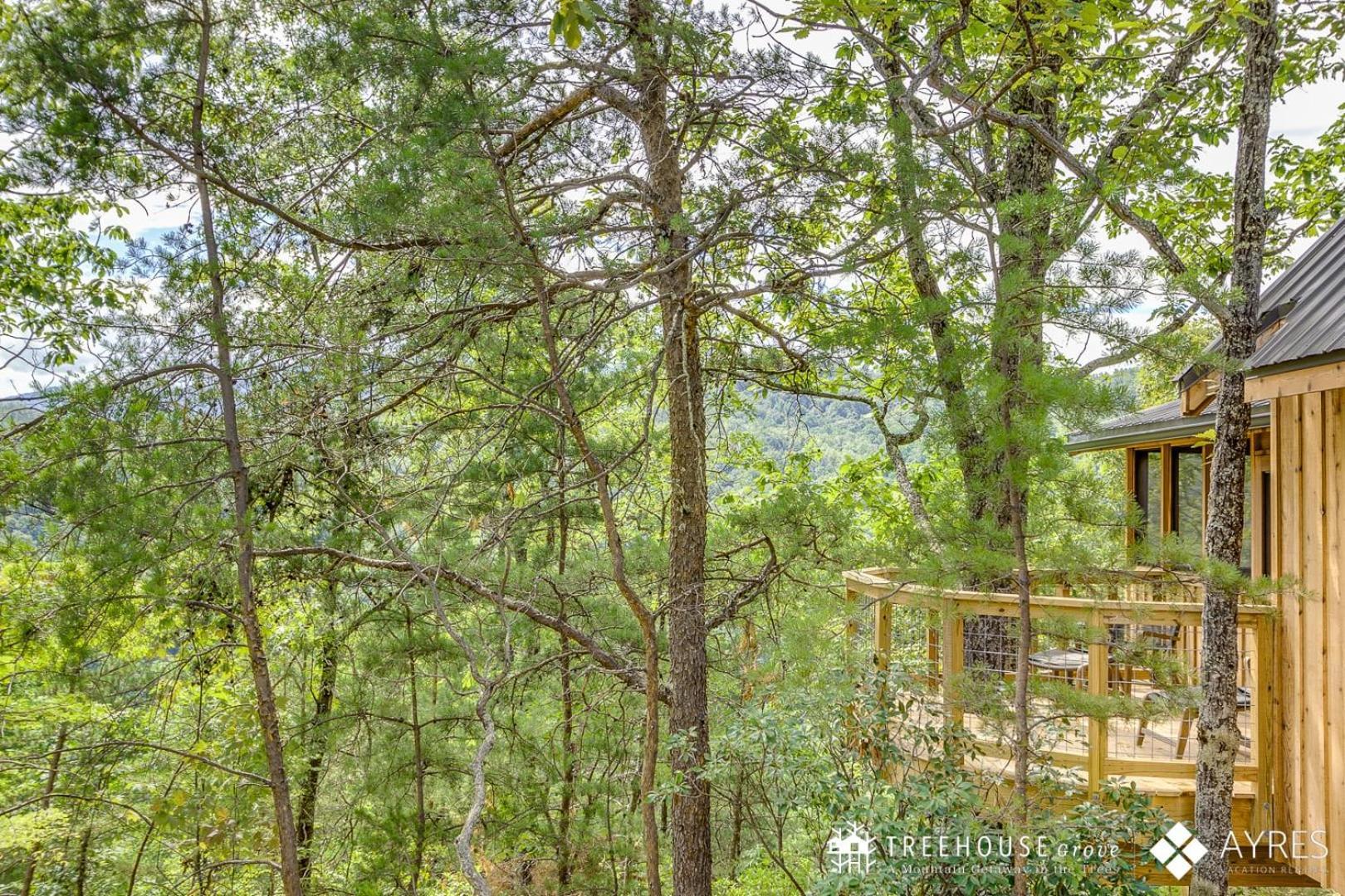 The Spruce In Treehouse Grove At Norton Creek