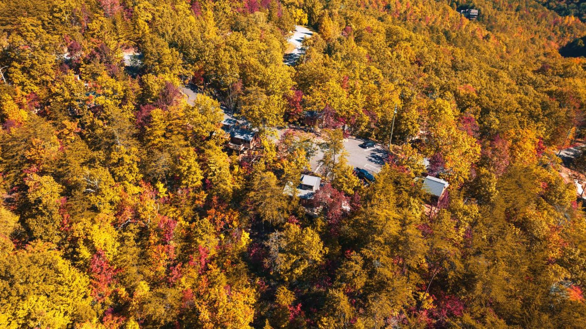 The Cherry In Treehouse Grove At Norton Creek Gatlinburg