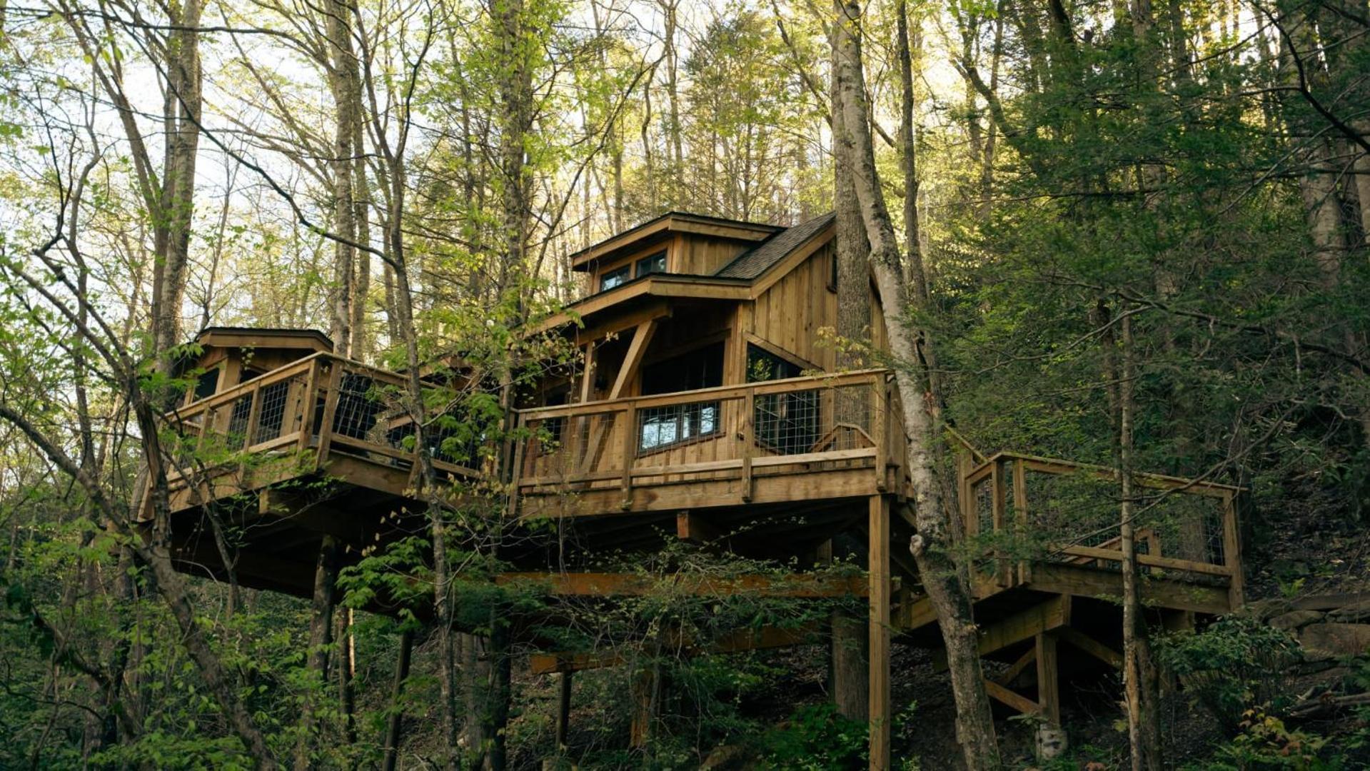 The Dogwood In Treehouse Grove At Norton Creek *