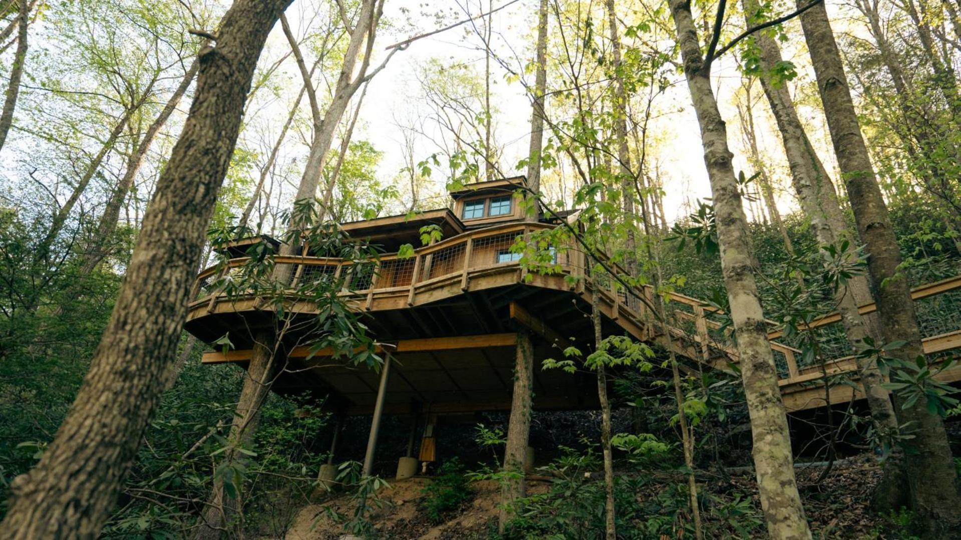 The Dogwood In Treehouse Grove At Norton Creek